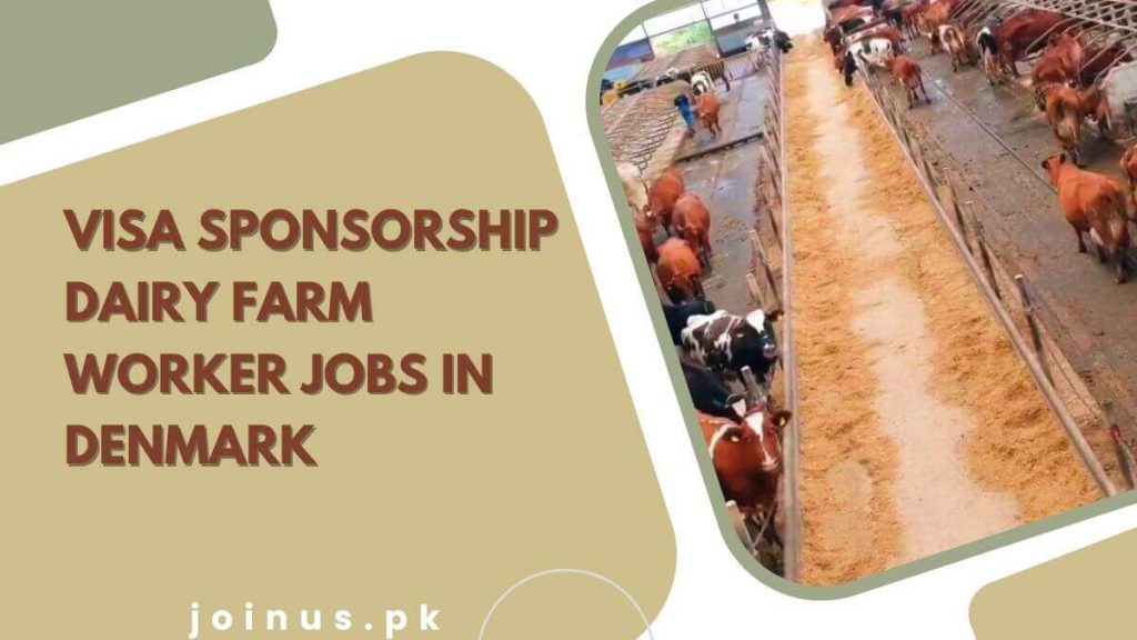 Visa Sponsorship Dairy Farm Worker Jobs in Denmark