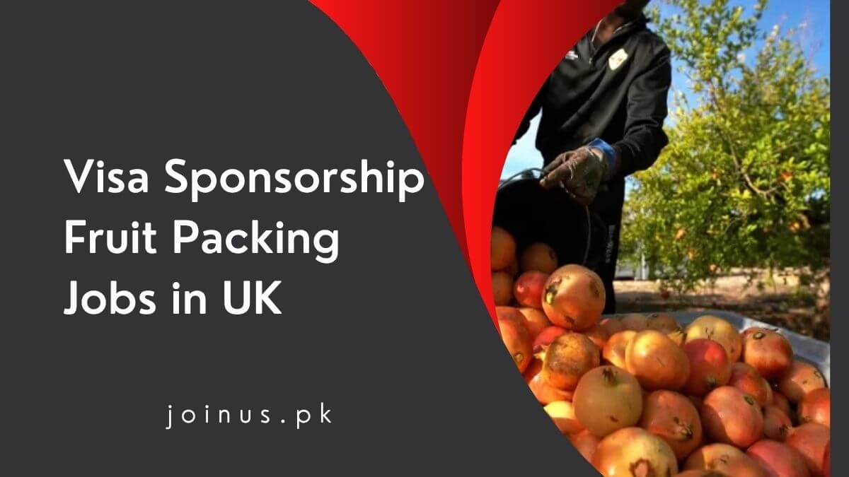 Visa Sponsorship Fruit Packing Jobs in UK