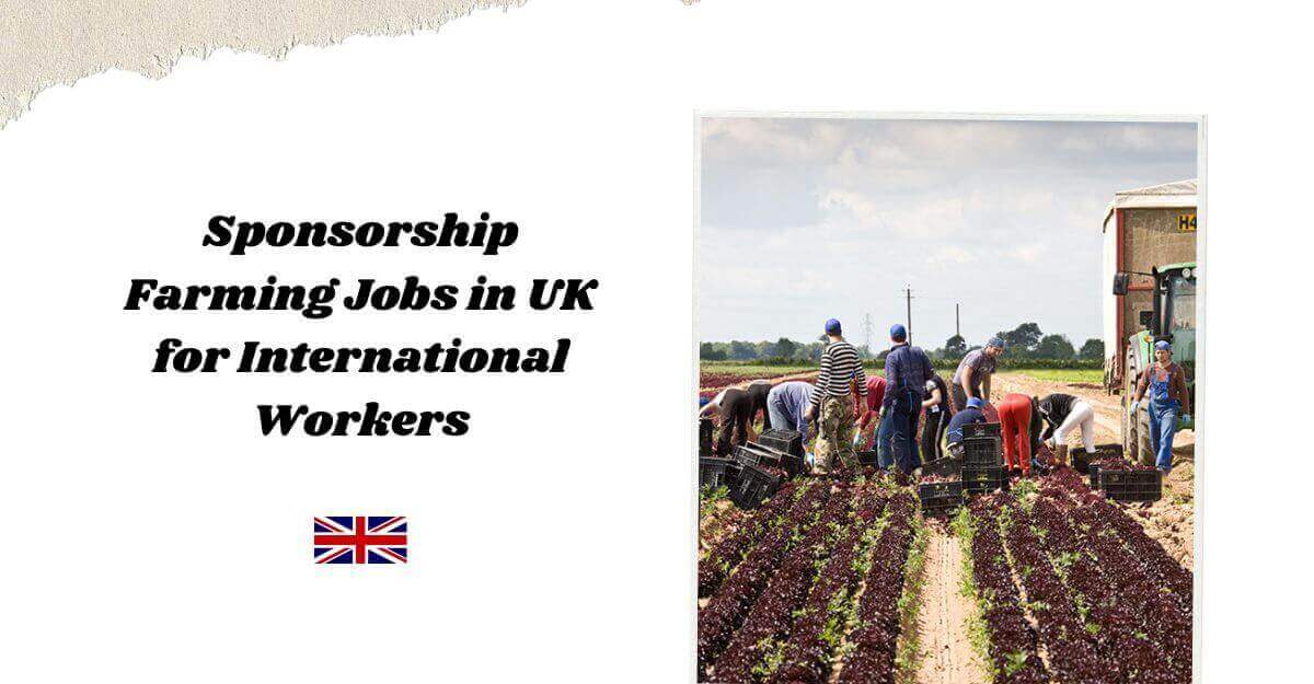 Sponsorship Farming Jobs in UK for International Workers