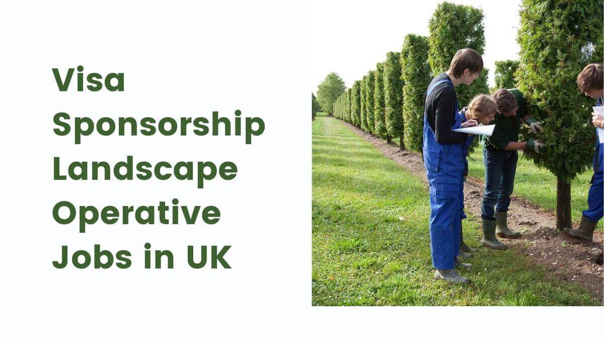 Visa Sponsorship Landscape Operative Jobs in UK
