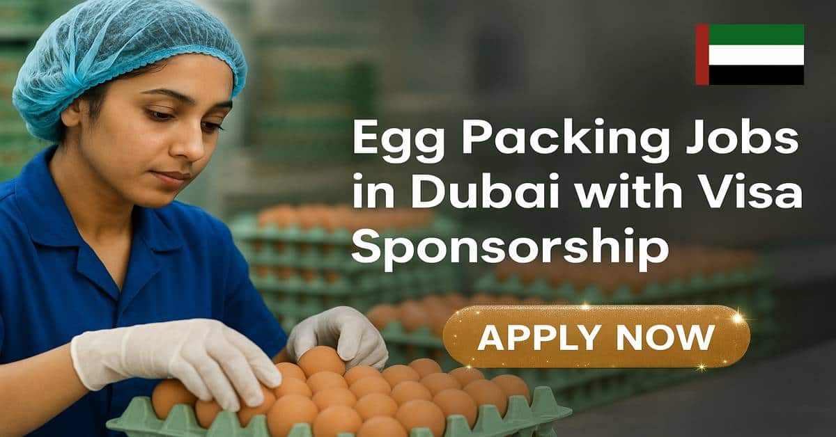 Egg Packing Jobs in Dubai with Visa Sponsorship