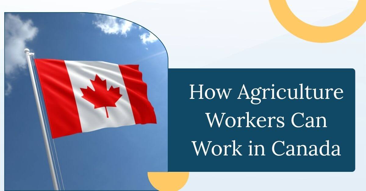 How Agriculture Workers Can Work in Canada