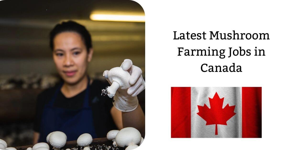 Latest Mushroom Farming Jobs in Canada