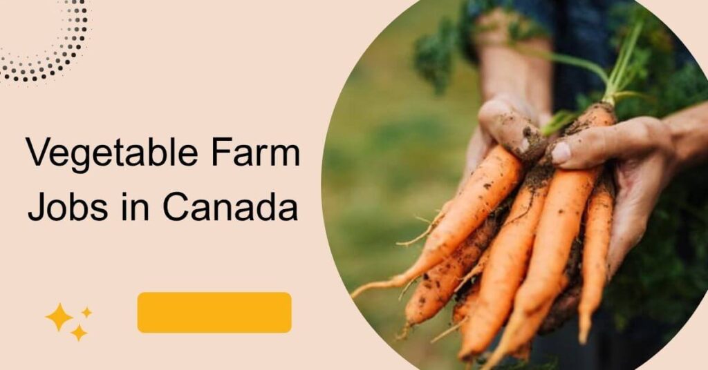 Vegetable Farm Jobs in Canada