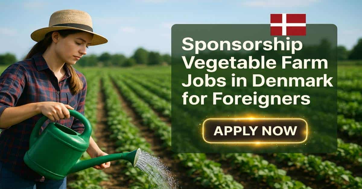 Sponsorship Vegetable Farm Jobs in Denmark for Foreigners