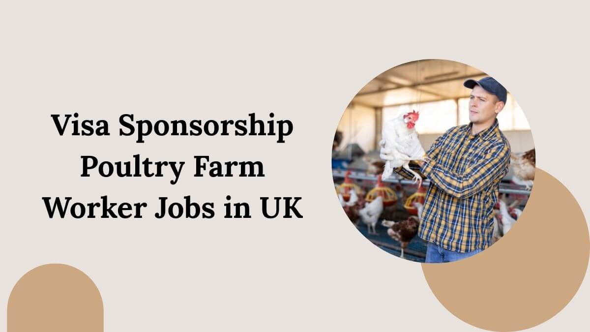 Visa Sponsorship Poultry Farm Worker Jobs in UK