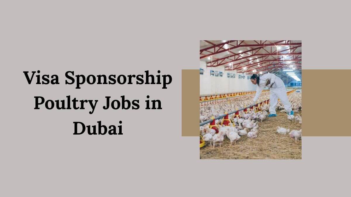 Visa Sponsorship Poultry Jobs in Dubai