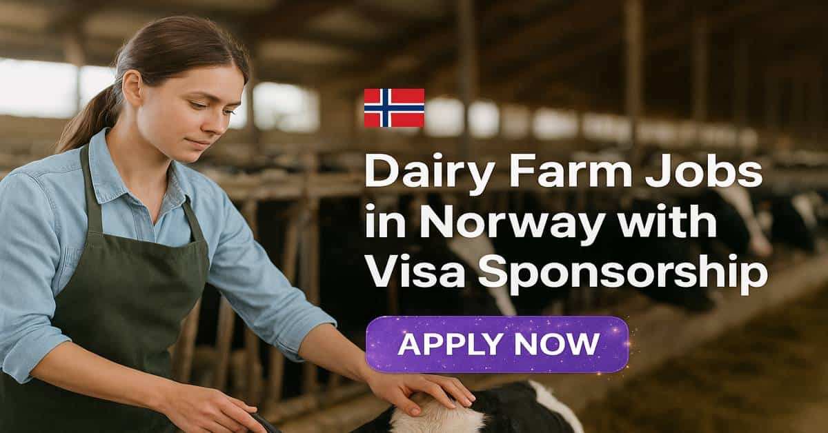Dairy Farm Jobs in Norway with Visa Sponsorship