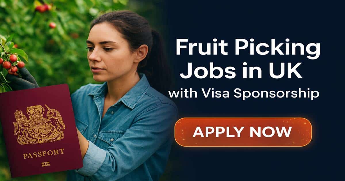 Fruit Picking Jobs in UK with Visa Sponsorship