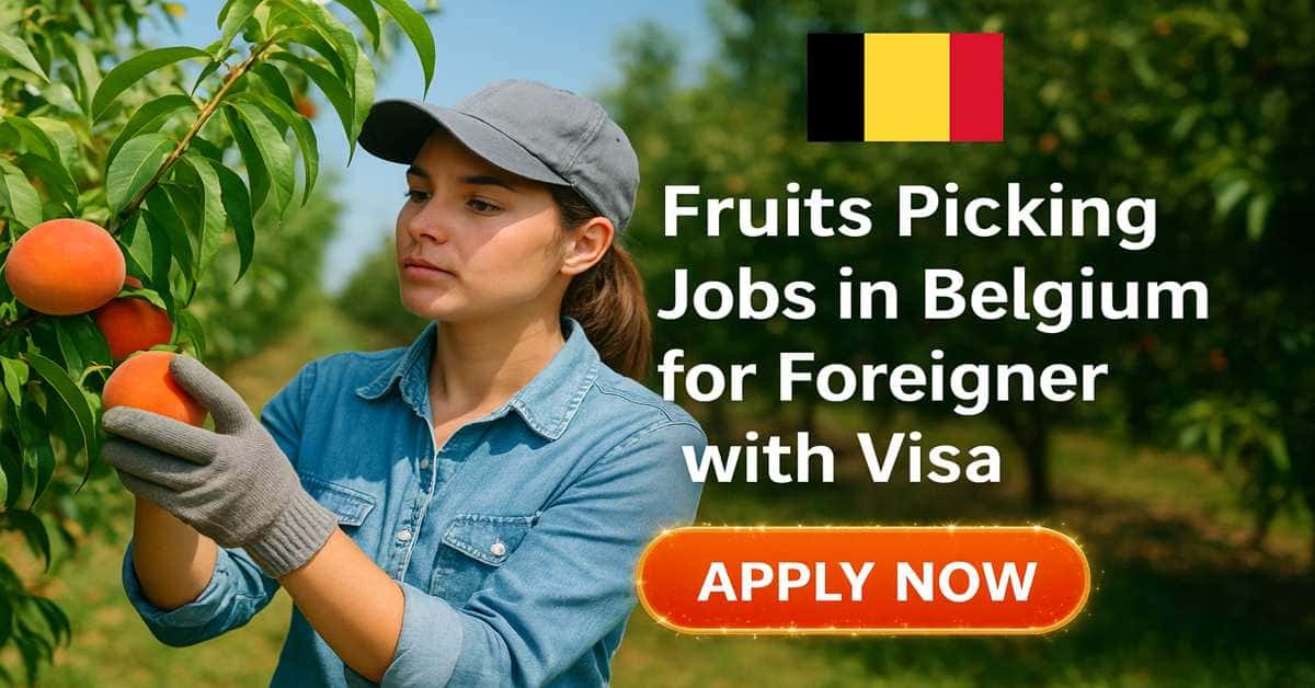 Fruits Picking Jobs in Belgium for Foreigner with Visa