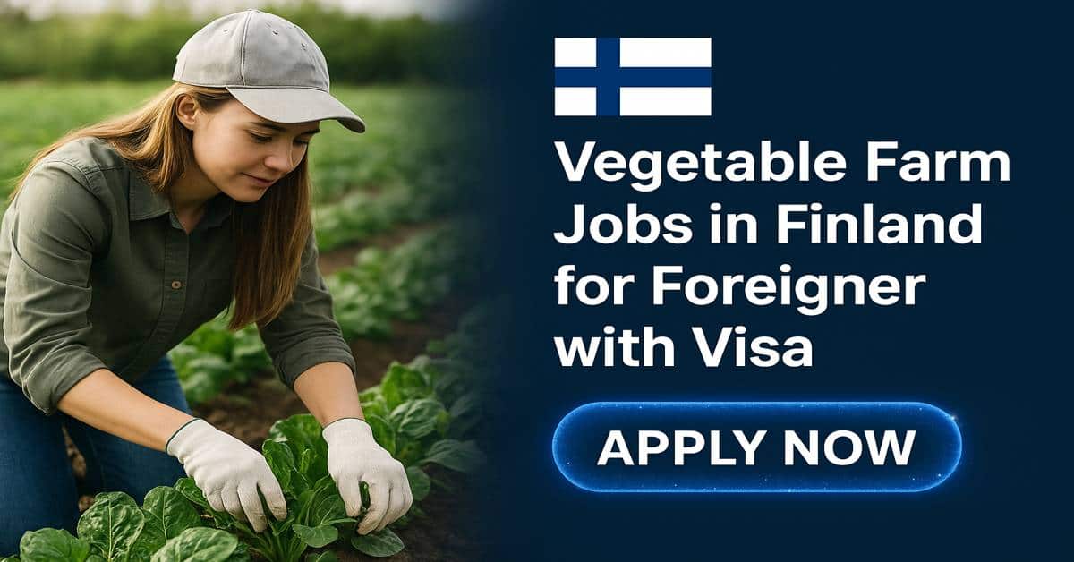 Vegetable Farm Jobs in Finland for Foreigner with Visa
