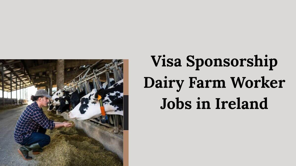 Visa Sponsorship Dairy Farm Worker Jobs in Ireland