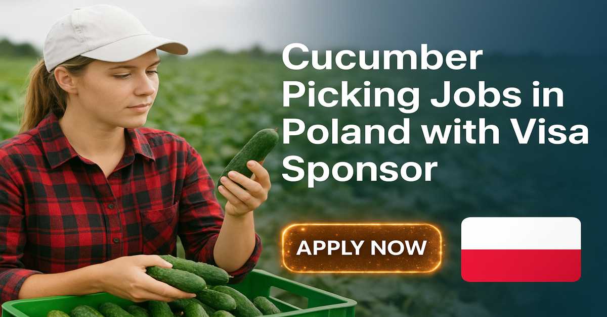 Cucumber Picking Jobs in Poland with Visa Sponsor
