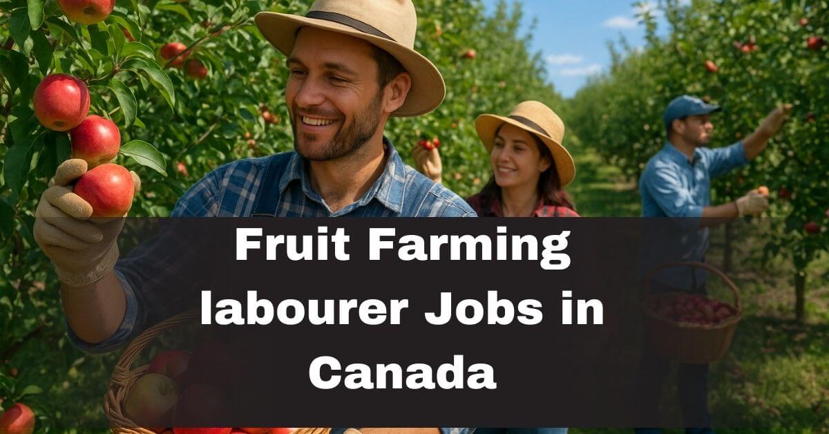 Fruit Farming labourer Jobs in Canada