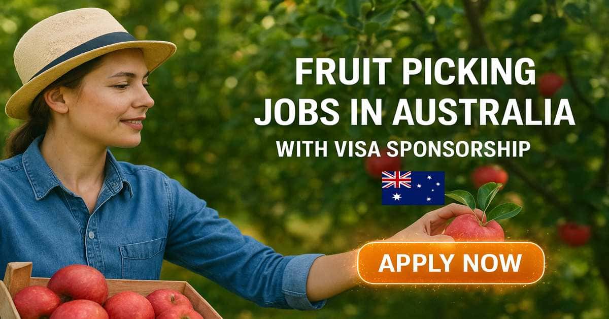Fruit Picking Jobs in Australia with Visa Sponsorship
