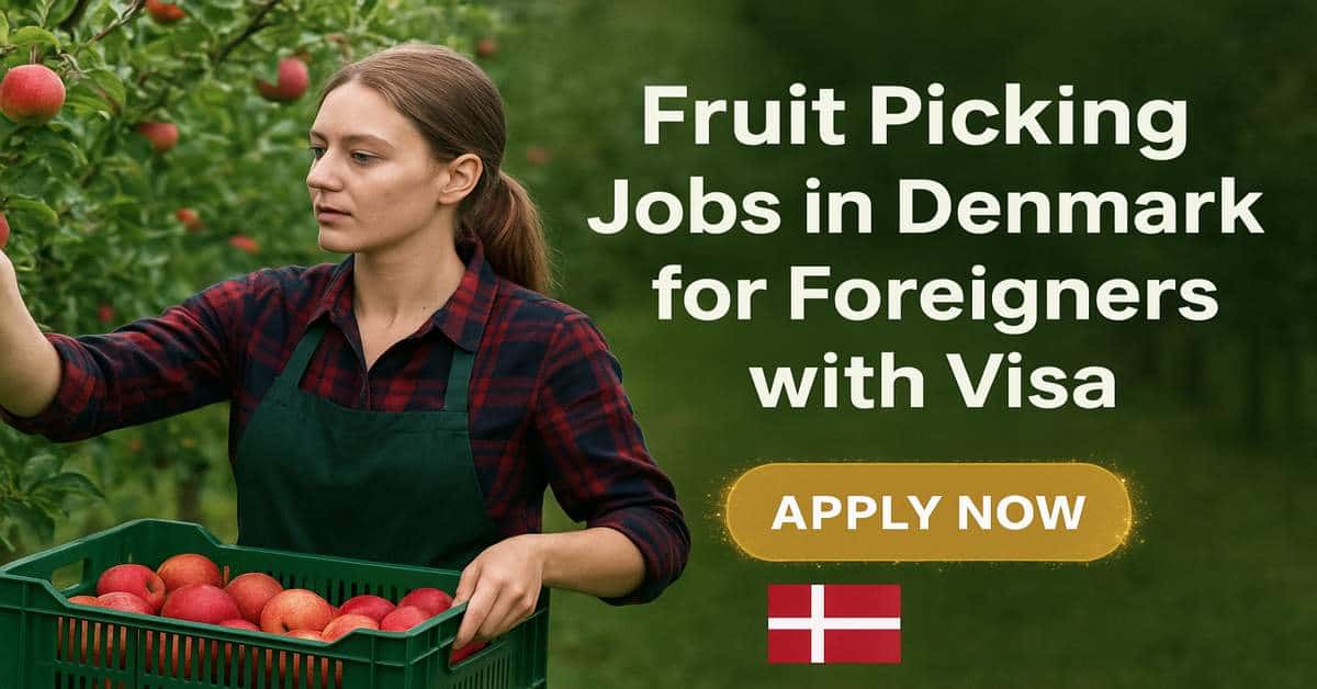 Fruit Picking Jobs in Denmark for Foreigners with Visa