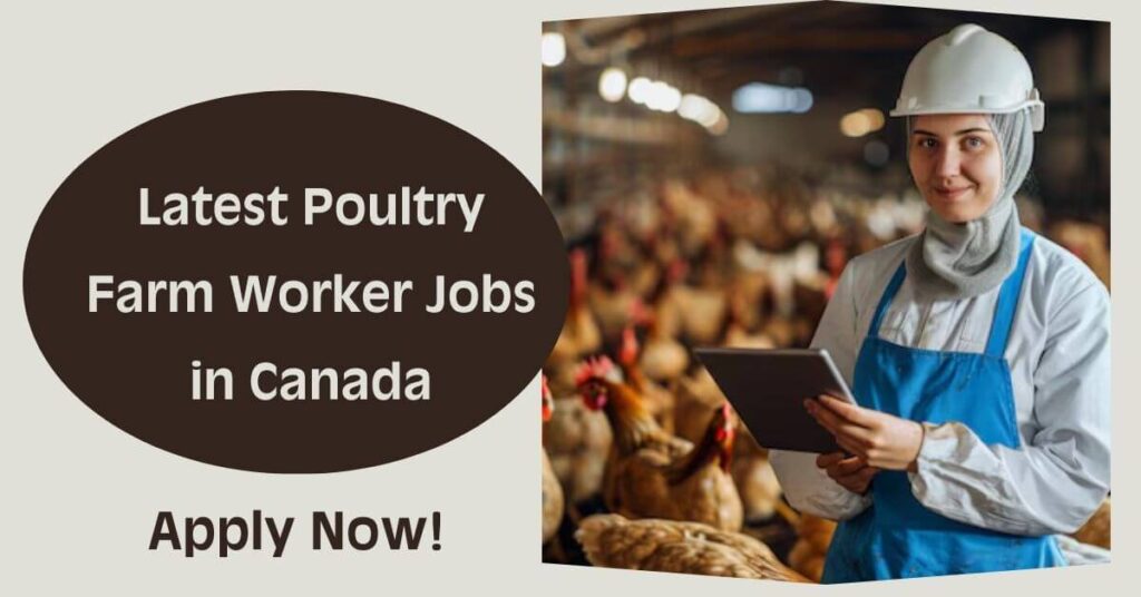 Latest Poultry Farm Worker Jobs in Canada