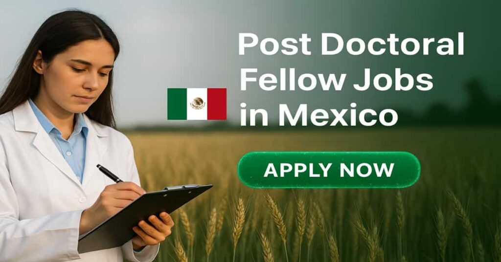 Post Doctoral Fellow Jobs in Mexico