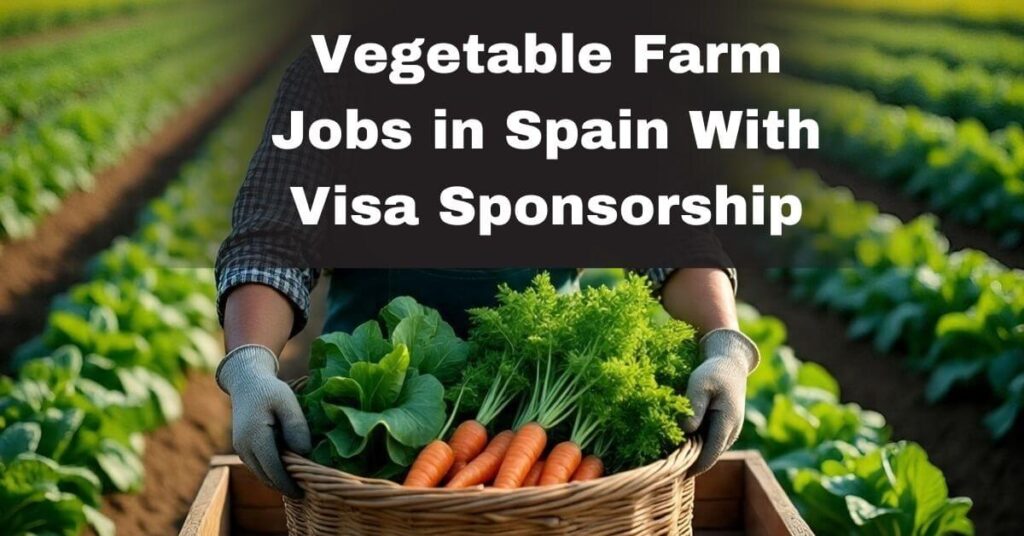 Vegetable Farm Jobs in Spain With Visa Sponsorship