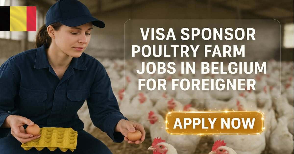Visa Sponsor Poultry Farm Jobs in Belgium for Foreigner