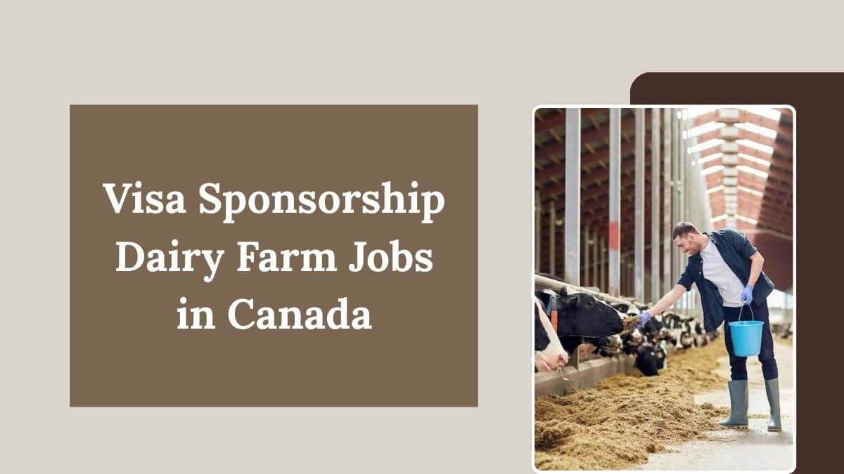 Visa Sponsorship Dairy Farm Jobs in Canada