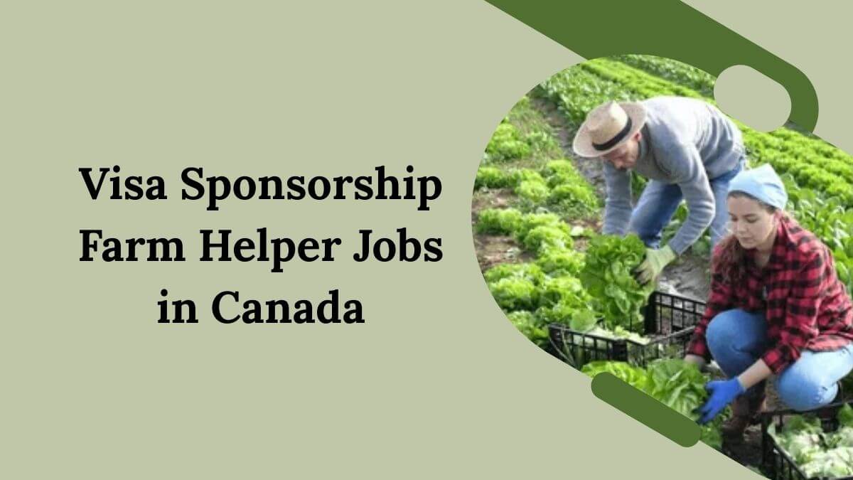 Visa Sponsorship Farm Helper Jobs in Canada