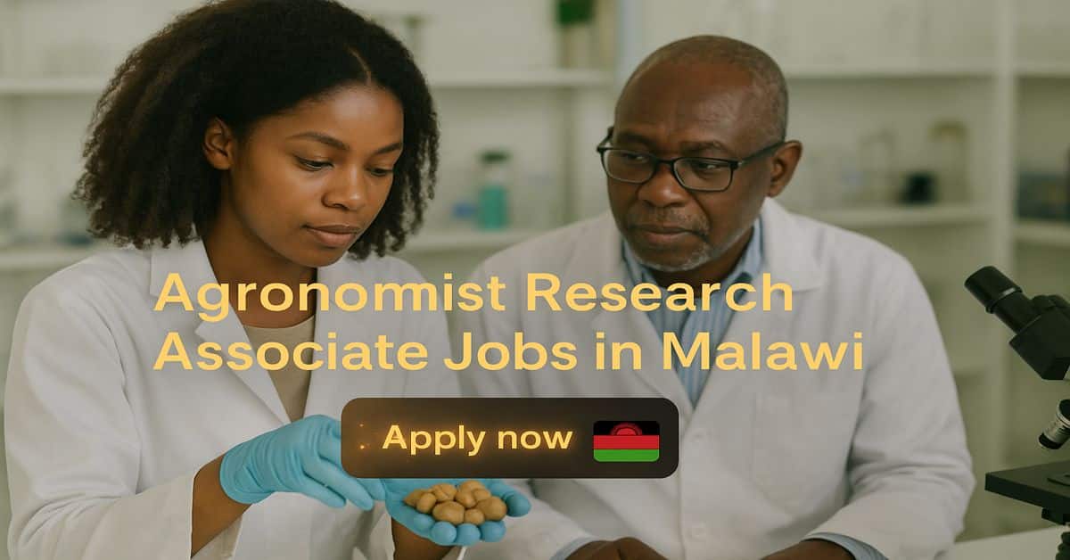 Agronomist Research Associate Jobs in Malawi