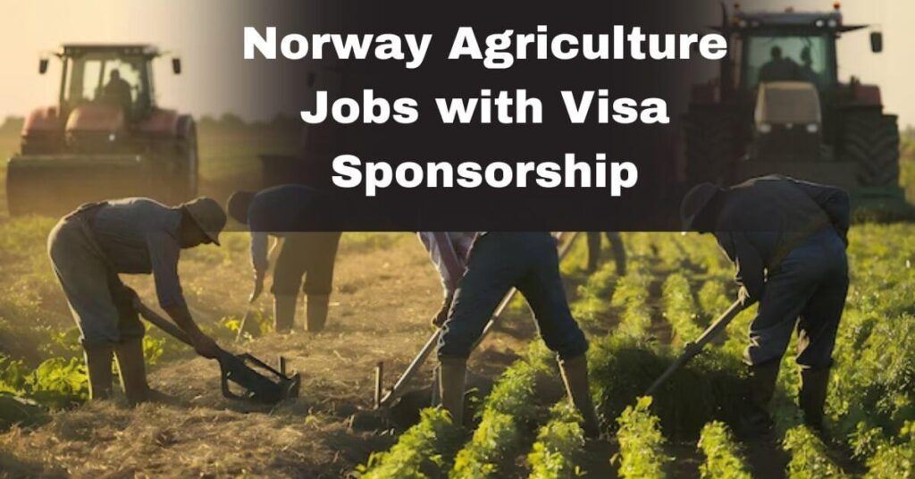 Norway Agriculture Jobs with Visa Sponsorship