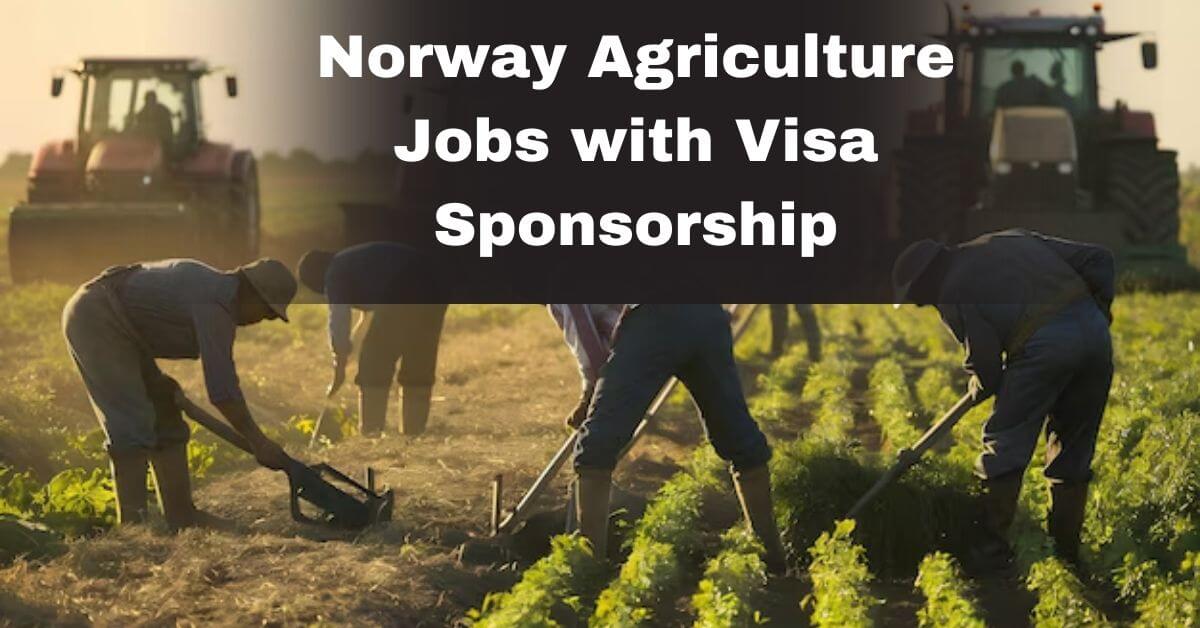 Norway Agriculture Jobs with Visa Sponsorship