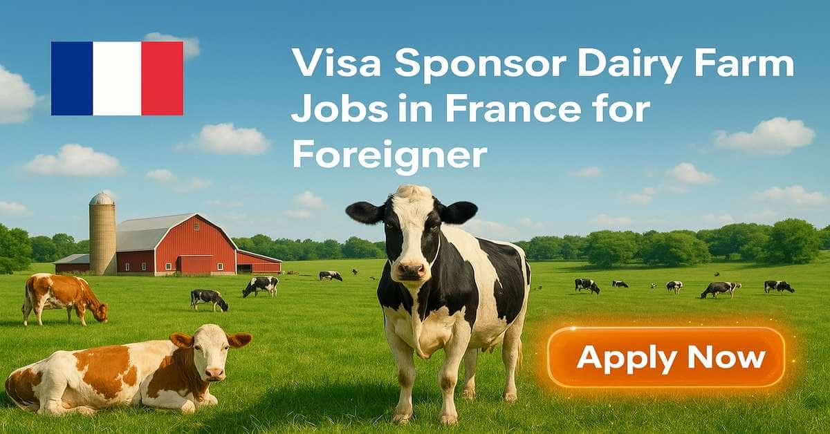 Visa Sponsor Dairy Farm Jobs in France for Foreigner