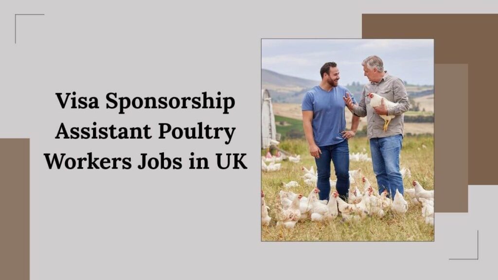 Visa Sponsorship Assistant Poultry Workers Jobs in UK