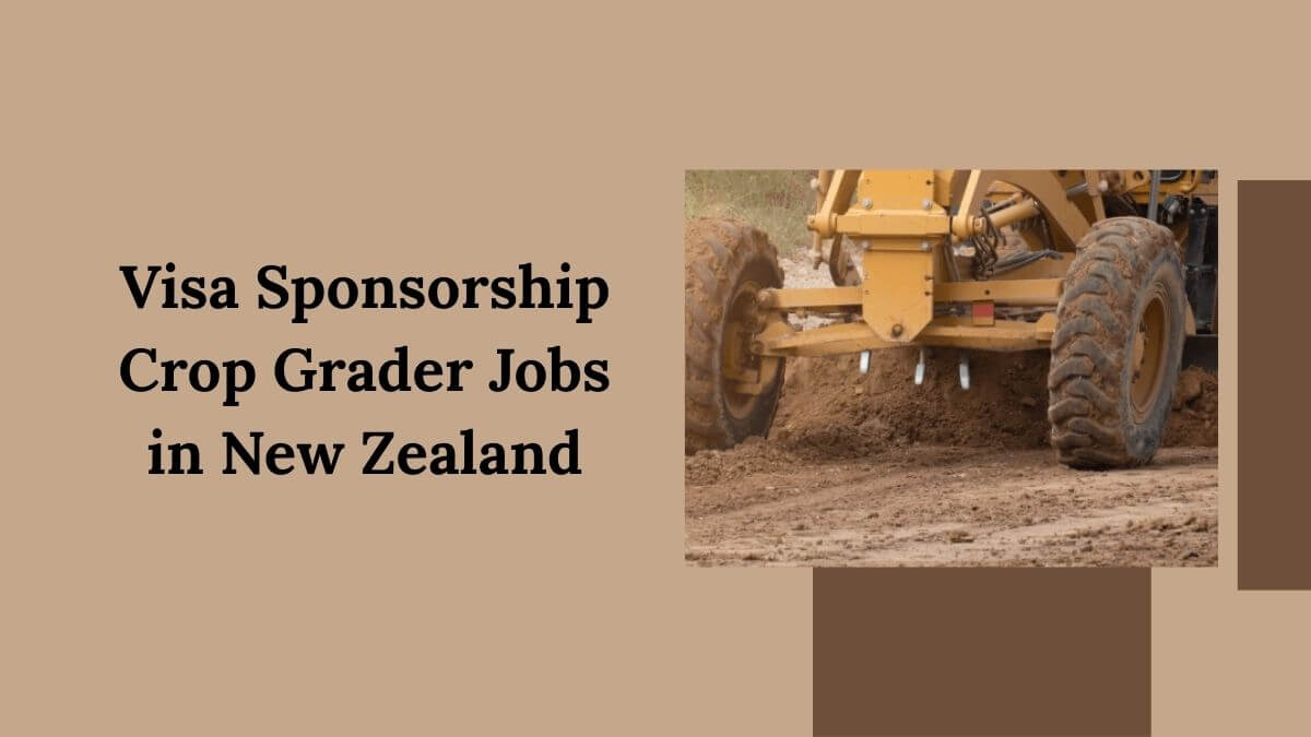 Visa Sponsorship Crop Grader Jobs in New Zealand