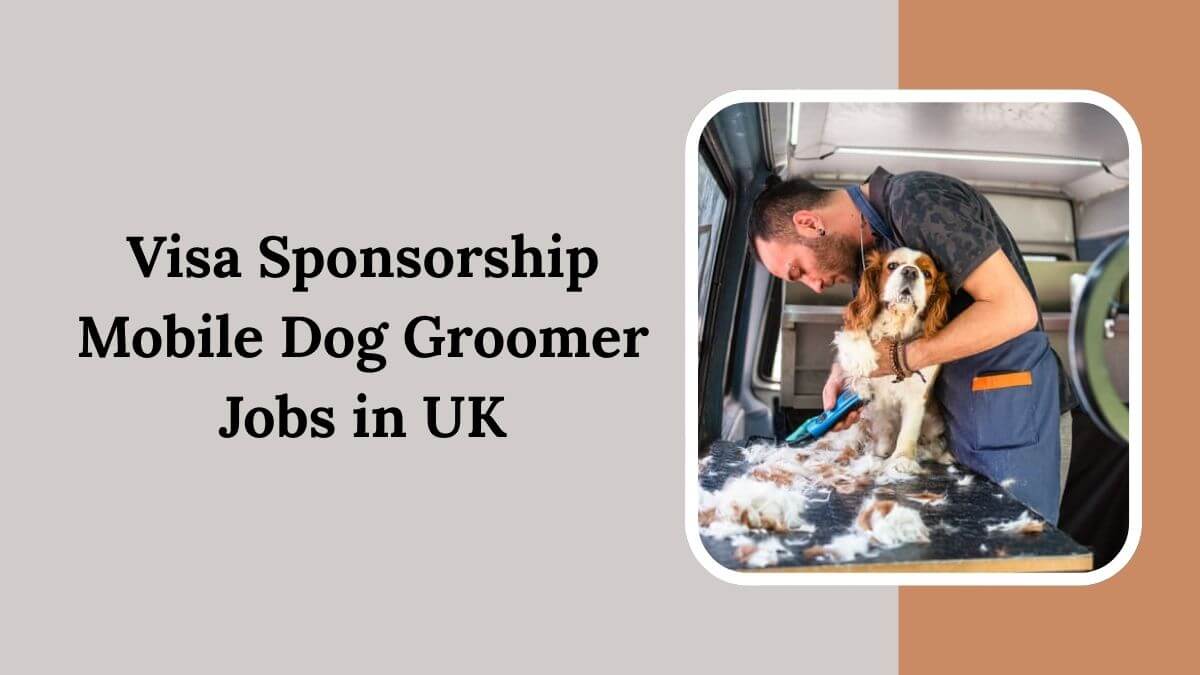 Visa Sponsorship Mobile Dog Groomer Jobs in UK