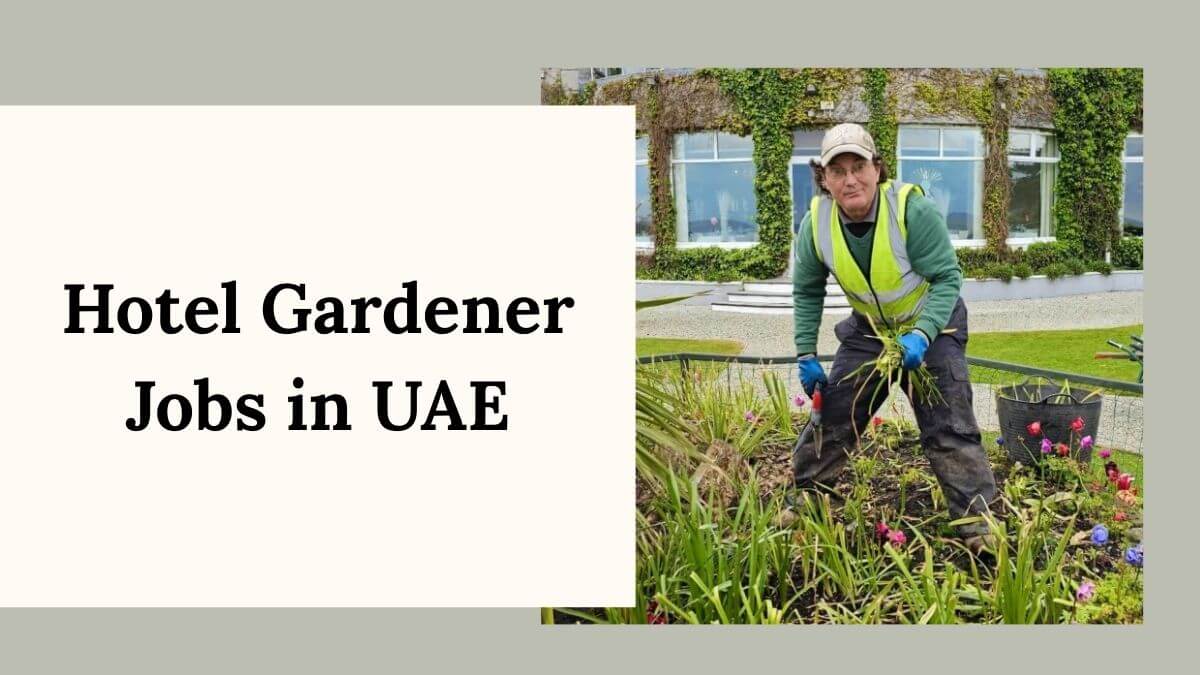 Hotel Gardener Jobs in UAE