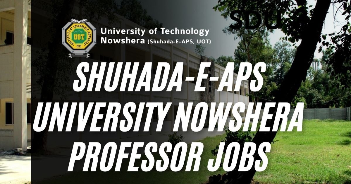 Shuhada-e-APS University Nowshera Professor Jobs