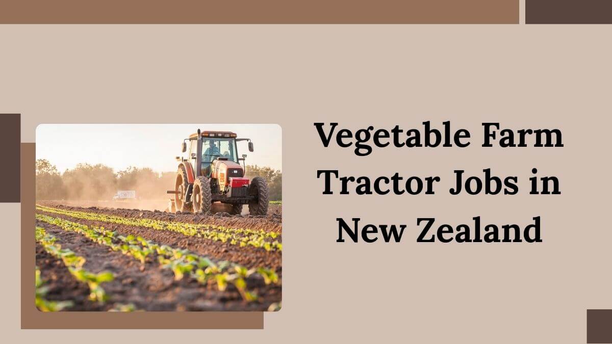 Vegetable Farm Tractor Jobs in New Zealand
