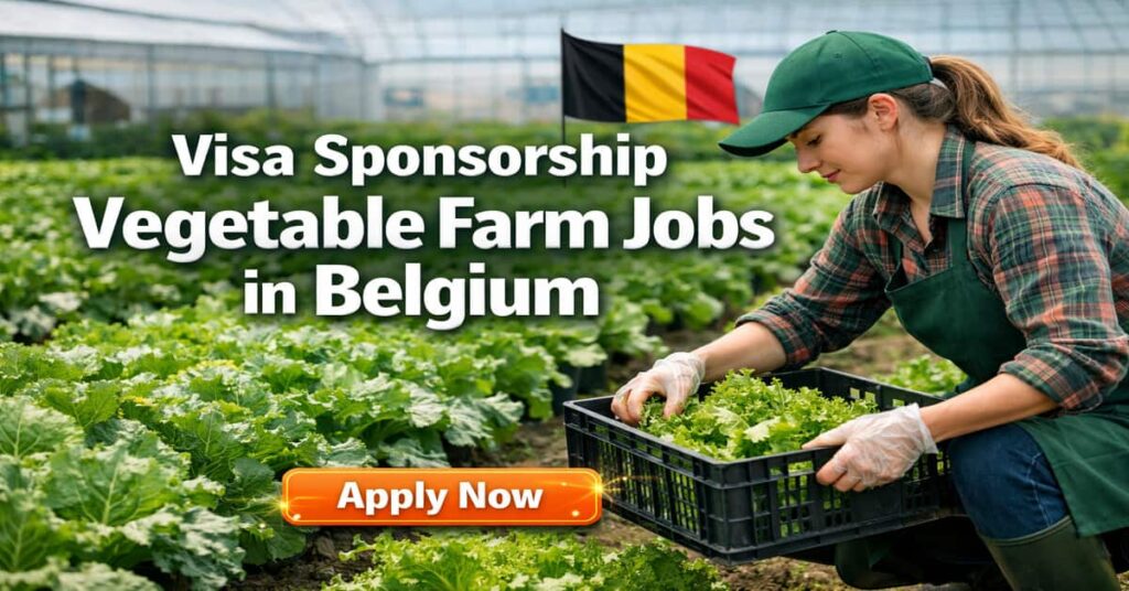 Visa Sponsorship Vegetable Farm Jobs in Belgium