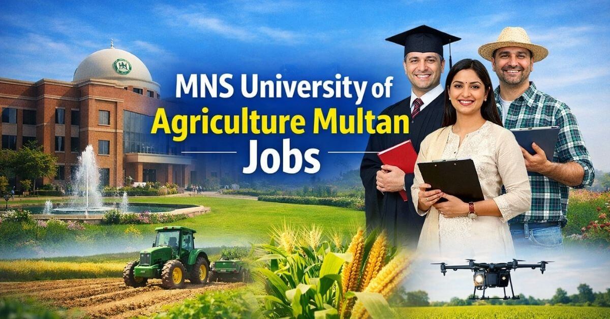 MNS University of Agriculture Multan Jobs