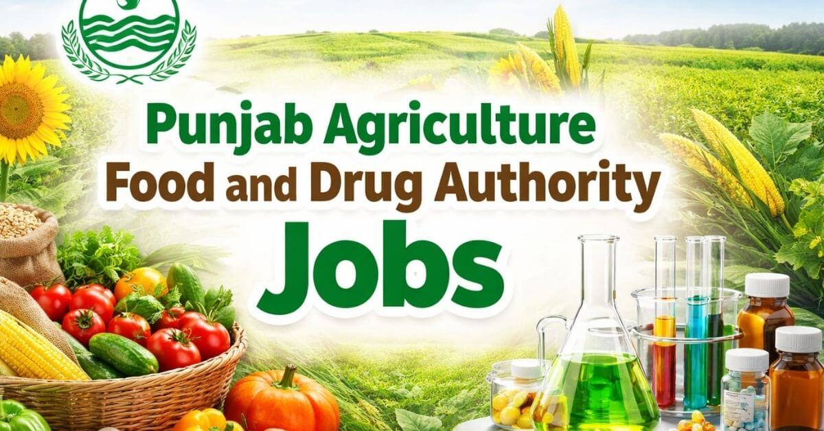 Punjab Agriculture Food and Drug Authority Jobs