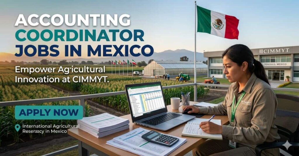 Accounting Coordinator Jobs in Mexico