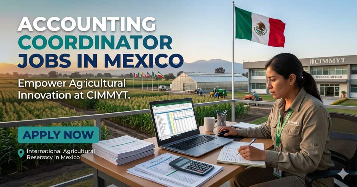 Accounting Coordinator Jobs in Mexico